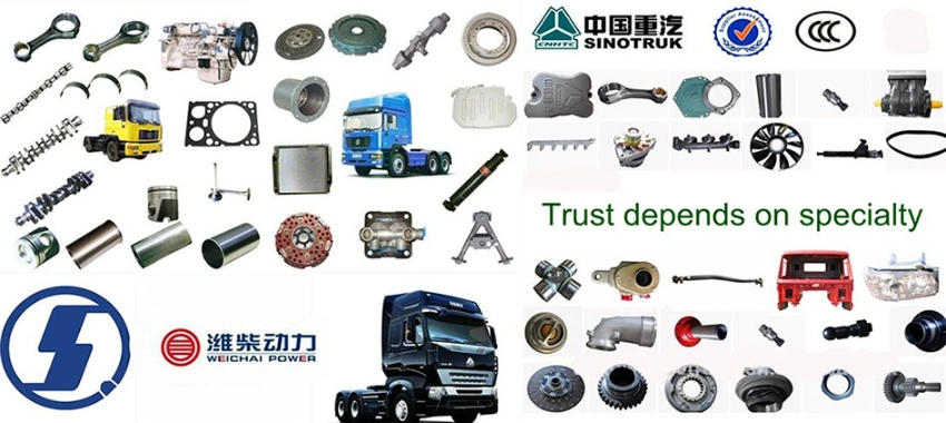 Heavy Duty Dump Truck Parts HOWO Shacman FAW Beiben Foton Dongfeng Weichai for Sale
