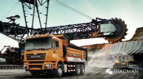 Shacman /H3000/F3000/6X4/8X4 Dump Truck/Special Truck