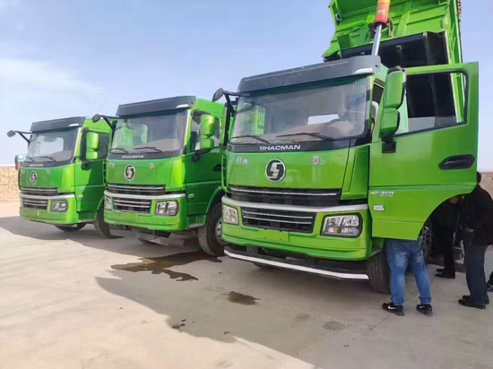 Shacman /H3000/F3000/6X4/8X4 Dump Truck/Special Truck